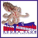 Dive Animals Logo